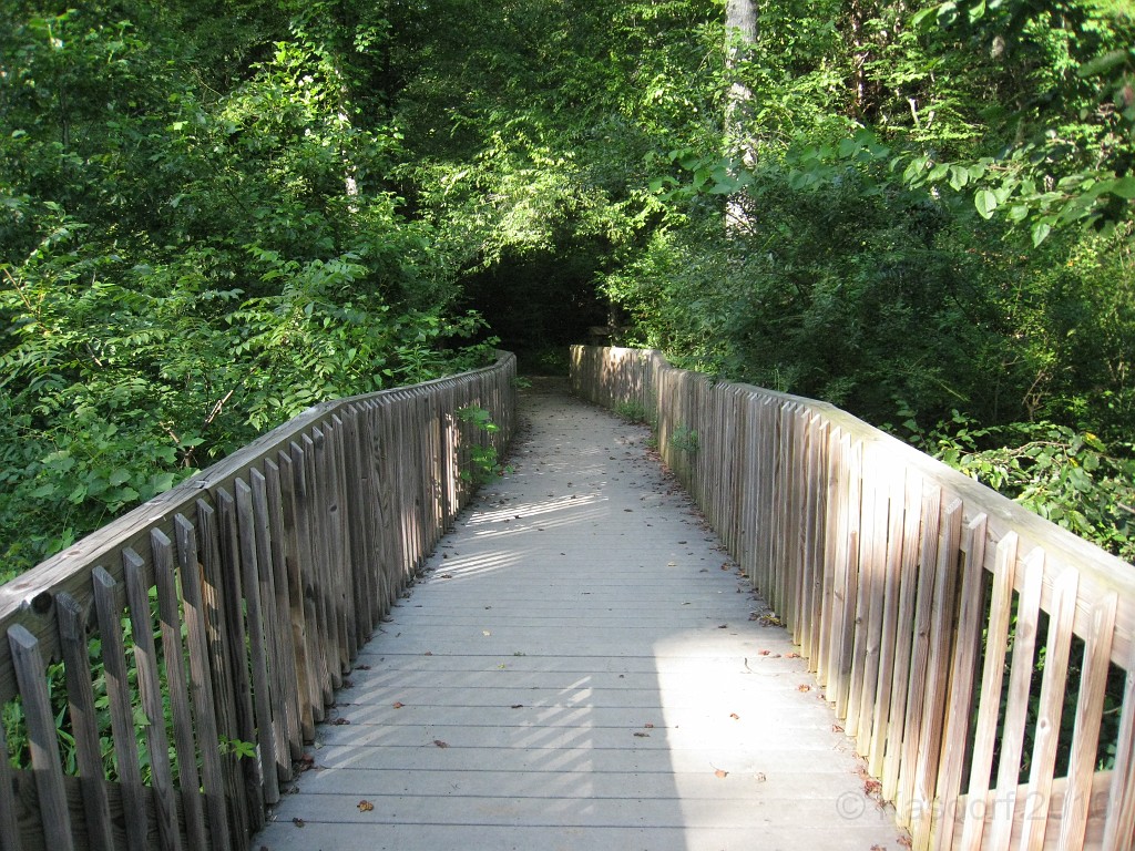 Helen to Unicoi 2010 0310.jpg - The trail from Helen Georgia to the lodge at Unicoi State Park makes a fun six mile run. July 2010 and 90 degrees makes it a little bit more of a workout.